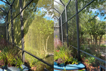 screen enclosure cleaning 2 photo